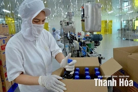 Nông nghiệp khẳng định vị thế trụ đỡ nền kinh tế (Bài 2): Kỳ vọng từ những sản phẩm nông nghiệp vươn tầm thế giới
