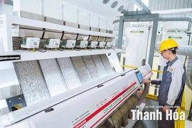 Xanh hóa nông nghiệp để cạnh tranh toàn cầu