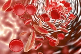 Bước tiến mới của Bỉ trong điều trị nhiễm trùng máu