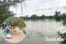 “Vua vịt” ở Tân Tiến