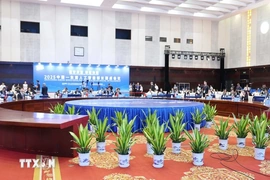 Việt Nam đạt được nhiều bước tiến quan trọng trong lĩnh vực AI 