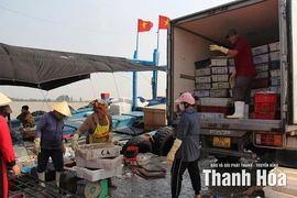 Vươn mình về phía biển...