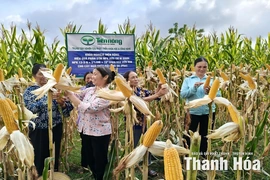 Tăng cường liên kết “4 nhà” thúc đẩy hoạt động nghiên cứu khoa học