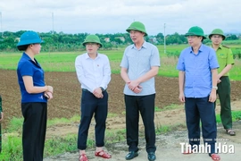 Phó Bí thư Tỉnh ủy Trịnh Tuấn Sinh kiểm tra công tác ứng phó bão tại các tuyến đê xung yếu