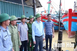 Phó Chủ tịch UBND tỉnh Mai Xuân Liêm kiểm tra, chỉ đạo công tác ứng phó bão tại 3 xã, phường ven biển