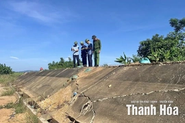 Dồn lực ứng phó bão