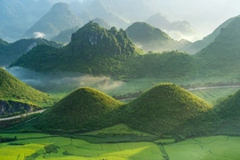 Du lịch Hà Giang 3 ngày 2 đêm - Lịch trình chi tiết và kinh nghiệm khi du lịch Hà Giang