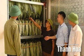 Vân Du khai thác lợi thế, xây dựng vùng nông nghiệp công nghệ cao