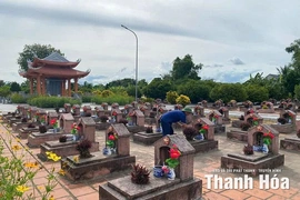 “Nơi đây còn đó bạn tôi nằm”...
