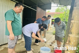 Chủ động phòng, chống dịch bệnh