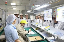 Đổi mới giáo dục nghề nghiệp: Thích ứng thị trường lao động