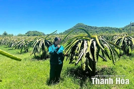 Phát triển kinh tế trang trại theo hướng bền vững
