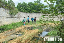 Cuộc sống người dân bị ảnh hưởng vì mùi hôi thối và chất thải từ trang trại lợn ở xã Sao Vàng