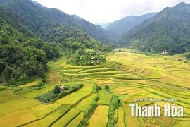 Khát vọng bên dòng suối Yên