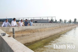 Tái cơ cấu nông nghiệp gắn với bảo vệ tài nguyên, môi trường