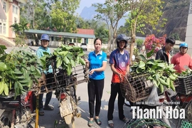 Hỗ trợ phụ nữ phát triển kinh tế