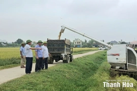 Lãnh đạo xã Đồng Tiến thăm đồng, chỉ đạo thu hoạch lúa vụ mùa