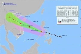Bộ Y tế: Trực 24/24h, không để gián đoạn cấp cứu, điều trị trong bão số 10