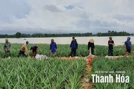 Xã Yên Phú: tập trung khắc phục hậu quả sau mưa bão số 10