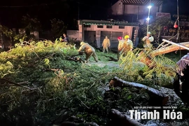 Mưa lớn kéo dài gây thiệt hại tại nhiều địa phương trong tỉnh