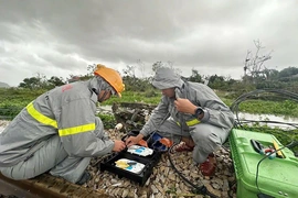 Viettel Thanh Hóa huy đ ộng to àn l ực ứng cứu, giữ vững th ông tin sau bão Bualoi