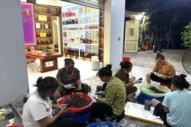 Từ sim rừng đến thương hiệu bản sắc