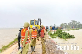 Căng mình ứng phó, khắc phục hậu quả bão số 10