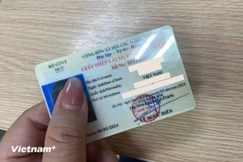Người dân được khai thác thông tin trên trang điện tử về giấy phép lái xe