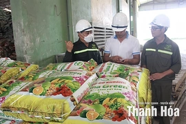 Bảo đảm cung ứng phân bón cho sản xuất vụ đông
