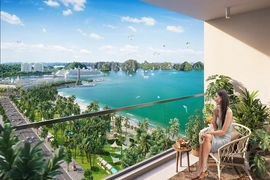 Hưởng lợi kép khi đầu tư căn hộ Sun Group trung tâm Bãi Cháy