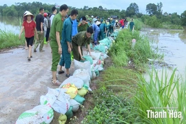 Xã Thọ Lập huy động nhân lực, phương tiện xử lý chống tràn đê