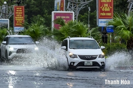 Nhiều phố phường của Thanh Hóa cây đổ chắn đường, nước ngập cục bộ do ảnh hưởng của mưa bão