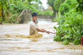Lũ sông Lèn lên cao, nhiều thôn của xã Hà Trung ngập nặng