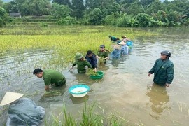 Thủ tướng yêu cầu phải thần tốc hơn nữa, huy động tối đa lực lượng khắc phục nhanh nhất hậu quả bão, mưa lũ