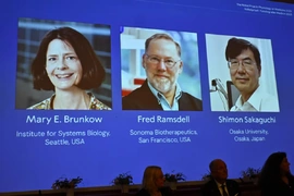 Nobel Y học 2025 vinh danh công trình về dung nạp miễn dịch ngoại biên