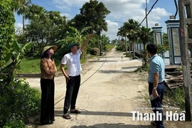 Kỹ sư về quê làm trưởng thôn