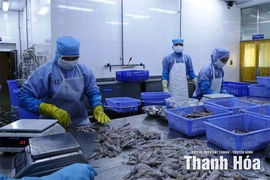Tín hiệu tích cực từ cấp giấy chứng nhận nguồn gốc thủy sản