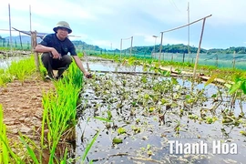 Nguyệt Ấn quan tâm tạo sinh kế cho người dân phát triển kinh tế