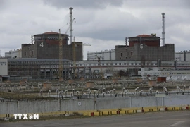 IAEA: Bắt đầu khôi phục nguồn điện bên ngoài cho nhà máy hạt nhân Zaporizhzhia