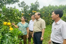 Kỷ niệm 95 năm Ngày thành lập Hội Nông dân Việt Nam (14/10/1930 - 14/10/2025): “Người chèo lái” ở tuyến đầu của tam nông
