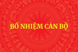 Tỉnh Thanh Hóa bổ nhiệm một số giám đốc sở, ngành
