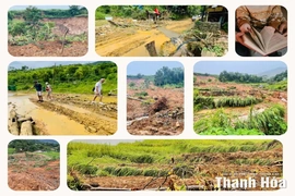 Các cơ sở lưu trú du lịch nỗ lực “vực dậy” sau bão