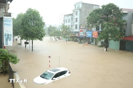 Đề nghị các địa phương chủ động ứng phó với mưa, lũ lớn do hoàn lưu bão số 11