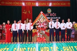 Phát huy vai trò trung tâm, nòng cốt của giai cấp nông dân trong xây dựng, phát triển kinh tế nông thôn