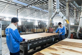 Kích hoạt động lực, cổ vũ tinh thần dấn thân của cộng đồng doanh nghiệp, doanh nhân