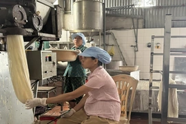 Nghị quyết số 68: Tiếp sức cho phụ nữ phát triển kinh tế tư nhân (Bài 1) - Khi phụ nữ làm chủ
