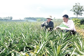 Khi an sinh đến gần dân hơn