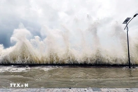 Các địa phương ven biển khẩn trương ứng phó với áp thấp nhiệt đới gần Biển Đông