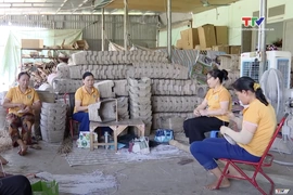 Bản tin Thời sự tối 19/10/2025: Phụ nữ Thanh Hóa phát triển nghề, tạo việc làm cho hội viên