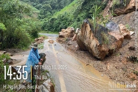 Cục Đường bộ Việt Nam kiến nghị khẩn cấp hỗ trợ khắc phục thiệt hại thiên tai trên các quốc lộ phân cấp